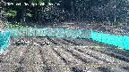 kannonmori-20250406080017.jpg