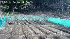 kannonmori-20250406081017.jpg