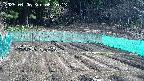 kannonmori-20250406082015.jpg