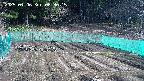 kannonmori-20250406083017.jpg