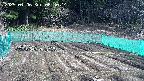 kannonmori-20250406084016.jpg