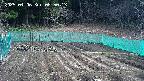 kannonmori-20250406085015.jpg
