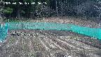 kannonmori-20250406090017.jpg