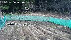 kannonmori-20250406091017.jpg