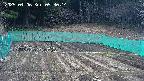 kannonmori-20250406093016.jpg