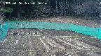 kannonmori-20250406094018.jpg