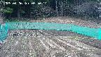 kannonmori-20250406095015.jpg