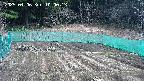 kannonmori-20250406100015.jpg