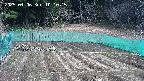 kannonmori-20250406101017.jpg