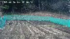 kannonmori-20250406103020.jpg