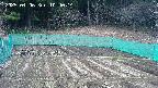 kannonmori-20250406104016.jpg