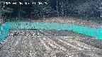 kannonmori-20250406110017.jpg