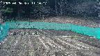 kannonmori-20250406111018.jpg