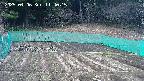 kannonmori-20250406114017.jpg