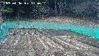 kannonmori-20250406115016.jpg