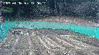 kannonmori-20250406120017.jpg