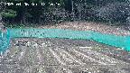kannonmori-20250406121018.jpg