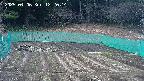 kannonmori-20250406122016.jpg
