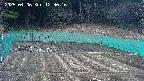 kannonmori-20250406123018.jpg
