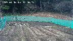 kannonmori-20250406124017.jpg