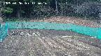 kannonmori-20250406125018.jpg