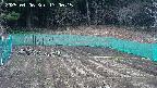 kannonmori-20250406130017.jpg
