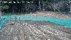 kannonmori-20250406131020.jpg
