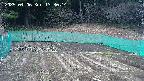 kannonmori-20250406133016.jpg
