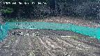 kannonmori-20250406134017.jpg