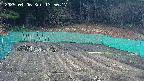 kannonmori-20250406135019.jpg