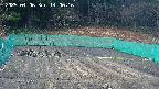 kannonmori-20250406140017.jpg