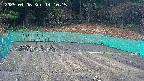 kannonmori-20250406141016.jpg