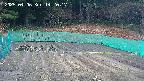 kannonmori-20250406142018.jpg