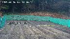 kannonmori-20250406143018.jpg