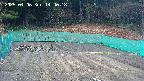 kannonmori-20250406144019.jpg