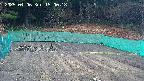 kannonmori-20250406150019.jpg