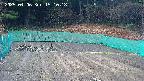 kannonmori-20250406151019.jpg