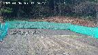 kannonmori-20250406152017.jpg