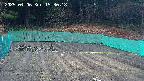 kannonmori-20250406153019.jpg