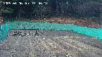 kannonmori-20250406154019.jpg