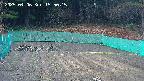 kannonmori-20250406155016.jpg