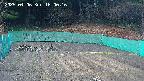 kannonmori-20250406160017.jpg