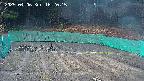 kannonmori-20250406162016.jpg