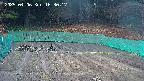 kannonmori-20250406163017.jpg