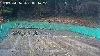 kannonmori-20250406164018.jpg