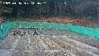kannonmori-20250406165018.jpg