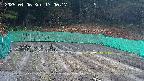 kannonmori-20250406170018.jpg