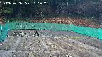 kannonmori-20250406171017.jpg