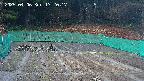 kannonmori-20250406172019.jpg
