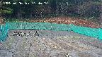 kannonmori-20250406173019.jpg
